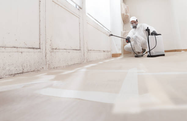 24/7 Emergency Mold Remediation experts in Springfield, MN